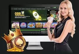 dd8 bet